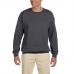Sweatshirt sem Capuz