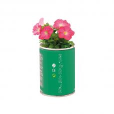 Lata - Flowcan