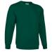 Sweatshirt  Adulto Dublin