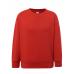 Kid Sweatshirt