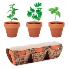  3 potes de terracota de barro com  três ervas diferentes: hortelã, salsa e manjericão- FLOWERPOT