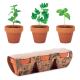  3 potes de terracota de barro com  três ervas diferentes: hortelã, salsa e manjericão- FLOWERPOT