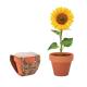 Pote de terracota com sementes do tipo girassol - SUNFLOWER