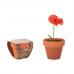  Pequeno vaso de terracota - RED POPPY