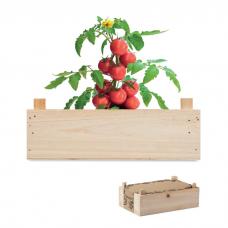 Kit de cultivo de tomate numa caixa de madeira - TOMATO