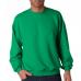 Sweatshirt Adulto