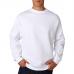 Sweatshirt Adulto